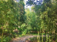 -同里国家湿地公园