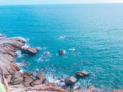 -广东惠东海龟国家级自然保护区