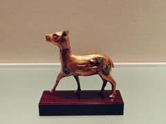 -深圳博物馆(古代艺术馆)