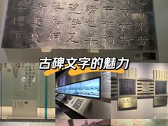 -白鹤梁水下博物馆