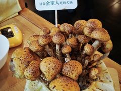 多脂鳞伞-烹然四季椰子鸡火锅(团结湖总店)