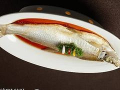 -醉庐·新上海菜(南京西路店)