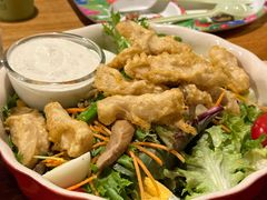 -Ohkajhu Organic Farm Sansai