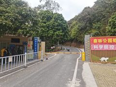 -佛山市三水区大南山森林公园