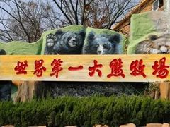 -东方熊牧场