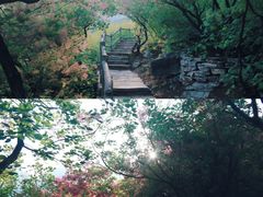 -周口店坡峰岭风景区