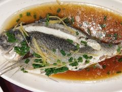 清蒸海鱼-俊江海鲜酒店(海陵岛白蒲市场店)