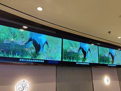 -蝎王府羊蝎子(西直门店)