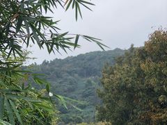 -雨花胜境