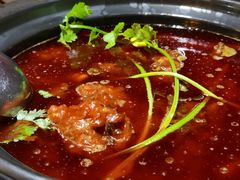 耙牛肉锅-茯菟菟fu tu tu耙牛肉(龙湖源著店)
