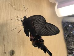 -正佳雨林生态植物园