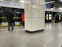 -陆家浜路(地铁站)
