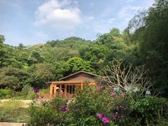 -云溪植物园