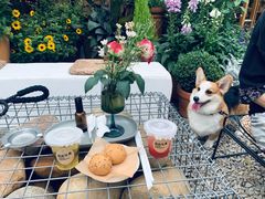 -自由生长植物工作室(深港花卉中心店)