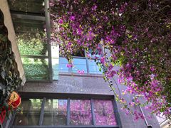 -海韵人家.海景花园经典云南菜(双廊店)