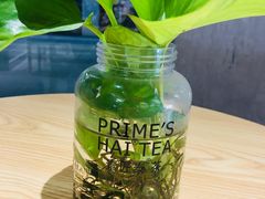 -素匠泰茶(三里屯SOHO工体奶茶店)