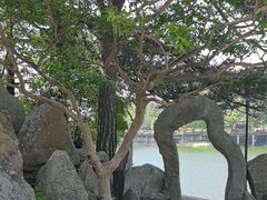 -庐山风景区花径公园