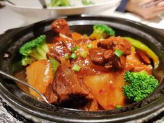 原汁农场萝卜牛腩煲-觅唐MITONG(鸟巢店)