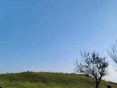 -伏羲山旅游区