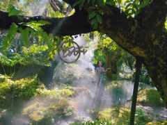 -Chom Cafe and Restaurant