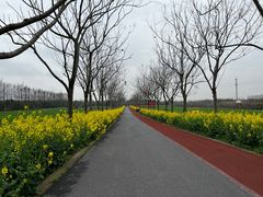 -上海长兴岛郊野公园