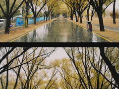 -野鸭湖国家湿地公园