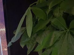 -泰之源足浴会所(玉环店)