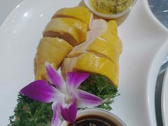 白切鸡-唐乐宫·小厨餐厅