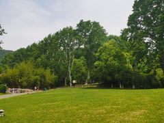 -习家池