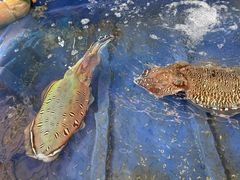 -蓝湾碧波·老字号·疍家非遗海上餐厅