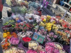 -宝鸡东道花鸟鱼虫市场(吉利花园商场店)