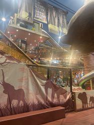 -卡通尼·Safari非洲探索乐园·生日会(金桥国际商业广场店)