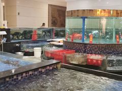 水产区-龙悦湾酒家·八阵鱼生·渔人码头店