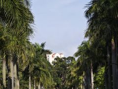 -厦门大学(思明校区)