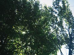 -了凡国风主题茶馆·咖啡(武侯祠锦里店)