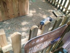 -宝岩生态观光园