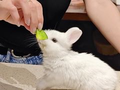 -大象厨房(重庆道店)