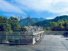 -原乡芦茨咖啡