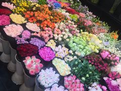 -双季花艺园艺市场(浦东店)