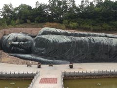 -三水森林公园