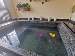 -春晖园度假酒店温泉