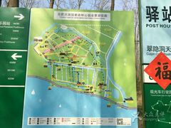 -合肥滨湖国家森林公园