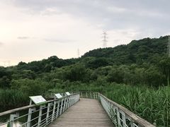 -西湖风景区-江洋畈生态公园