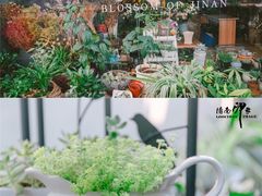 -泉乐坊步行街(烟酒特产平价超市店)