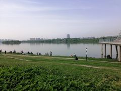 -灞河西岸滨河公园