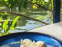 -侨美·唐荔园·40年地道粤菜