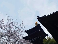-寒山寺