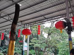 -天鹿湖森林公园