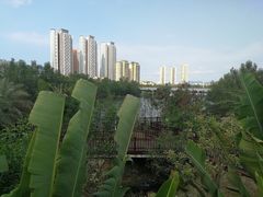 -金鸡岭桥头公园