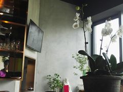 景观位-日上三甘(三里屯店)